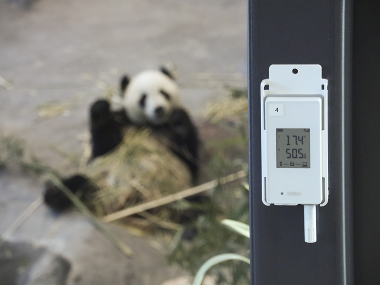 Panda and Vaisala data logger