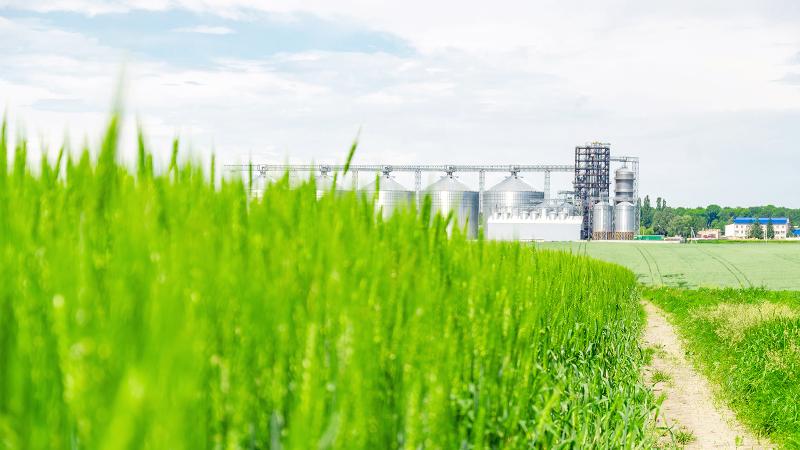 Silos on a green field