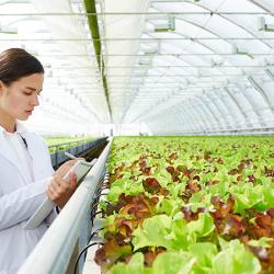 Vaisala Greenhouse Webinar